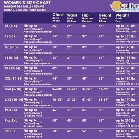 🆕Eye Candy Pirate Sexy Spanish Womens XXL14-16 Deluxe Cali Costume Set NIP! - Picture 14 of 16